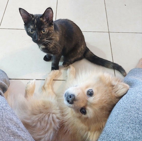 Meet your Posher, Nicole - Picture 7 of 7